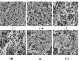 editor1532504614416880.jpg 1.jpg