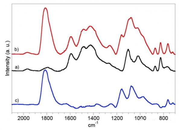 editor1561906575333753.jpg 0333.jpg